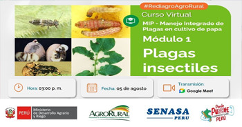  Curso online "MIP - Manejo Integrado de Plagas en cultivo de papa. Módulo 1: Plagas insectiles"  de Agro Rural