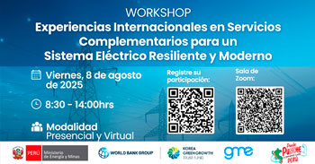 Workshop "Experiencias Internacionales en Servicios Complementarios del Sistema Eléctrico"