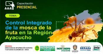   Capacitación presencial "Control Integrado de la Mosca de la Fruta en la Región Ayacucho" 