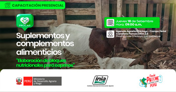  Capacitación presencial Suplementos y complementos alimenticios (Elaboración de bloques nutricionales para caprinos)