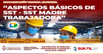  Capacitación online gratis "Aspectos básicos de SST - SST madre trabajadora" de la GRTPE Lambayeque