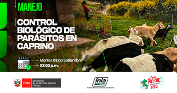  Capacitación online gratis "Control biológico de parásitos en caprino" del INIA