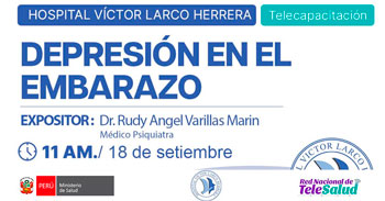  Capacitación online gratis "Depresión en el embarazo"  del Hospital Víctor Larco Herrera
