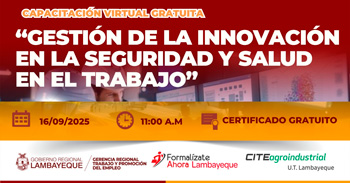  Capacitación online gratis "Gestión de la Innovación en la Seguridad y Salud en el Trabajo" GRTPE Lambayeque