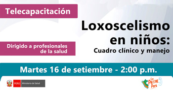  Capacitación online "Loxoscelismo en niños: Cuadro clínico y manejo" del Hospital Nacional Cayetano Heredia