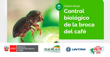  Charla online gratis "Control biológico de la broca del café" de Agro Rural