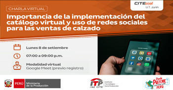   Charla online "Importancia de la implementación del catálogo virtual y uso de redes sociales..." 