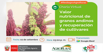  Charla online "Valor nutricional de granos andinos y recuperación de cultivares" de Agro Rural