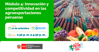  Conferencia online Innovación y competitividad en las agroexportaciones peruanas. Curso Herramientas digitales
