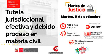  Conferencia online "Tutela jurisdiccional efectiva y debido proceso en materia civil" del MINJUSDH