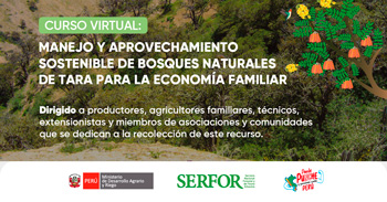  Curso online "Gestión de las plantaciones forestales de tara" de SERFOR 
