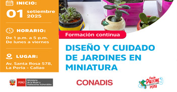 Curso online gratis "Diseño y cuidado de jardines en miniatura" del MIMP Conadis