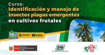  Curso online "Identificación y manejo de insectos plagas emergentes en cultivos frutales" del INIA