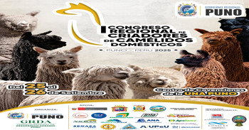  Primer Congreso Regional de Criadores de Camélidos Domésticos - Puno 2025 del Gobierno Regional de Puno