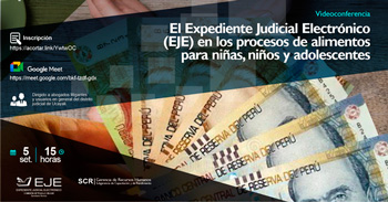  Videoconferencia "El Expediente Judicial Electrónico en procesos de alimentos para niños y adolescentes" 