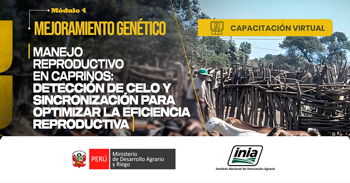  Capacitación en manejo reproductivo de caprinos: detección de celo y sincronización para mejorar la eficiencia