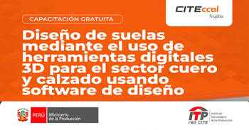  Capacitación presencial Diseño de suelas mediante el uso de herramientas digitales 3d para el sector cuero