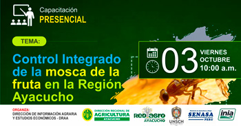  Capacitación presencial gratis "Control Integrado de la Mosca de la Fruta en la Región Ayacucho" del Midagri