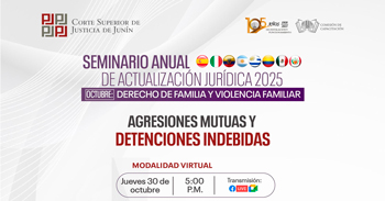  Capacitación online "Agresiones mutuas y detenciones indebidas"  de la Corte Superior de Justicia de Junin