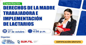  Capacitación online "Derechos de la madre trabajadora e implementación de lactarios" de la DRTPE Apurímac