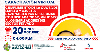 Capacitación online gratis Cuota de empleo y adaptaciones para personas con discapacidad , sector privadio
