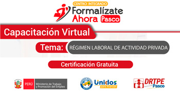  Capacitación online gratis "Régimen laboral de actividad privada" de la DRTPE Pasco