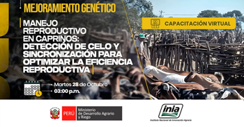  Capacitación online Manejo reproductivo en caprinos: detección de celo y sincronización para optimizar la reproductiva
