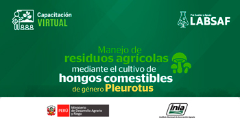  Capacitación online Manejo de residuos agrícolas mediante el cultivo de hongos comestibles de género Pleurotus