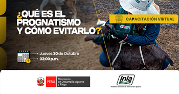  Capacitación online "¿Qué es el prognatismo y como evitarlo?" del INIA