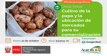  Charla online gratis "Cultivo de la papa y la ubicación de mercados para su comercialización" de Agro Rural