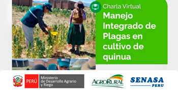  Charla online gratis "Manejo Integral de Plagas en cultivos de Quinua" de Agro Rural