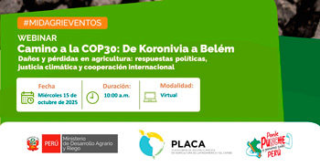  Conferencia online "Camino a la COP30: De Koronivia a Belém" del MIDAGRI