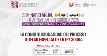  Conferencia online  "La Constitucionalidad del proceso tutelar especial de la Ley 30364" 