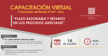  Conferencia online "Plazo razonable y retardo en los procesos judiciales" 