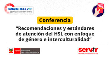  Conferencia online Recomendaciones y estándares de atención del HSL con enfoque de género e interculturalidad