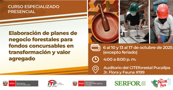 Curso presencial Elaboración de planes de negocio forestales para fondos concursables en transformación y valor