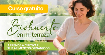  Curso presencial gratis "Biohuerto en mi terraza" de la Municipalidad de San Isidro