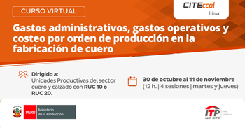  Curso virtual Gastos administrativos, gastos operativos y costeo por orden de producción en la fabricación de cuero