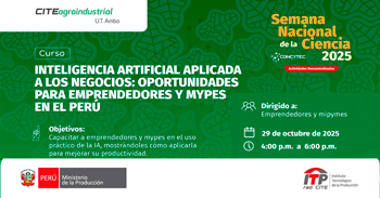  Curso online Inteligencia artificial aplicada a los negocios: Oportunidades para emprendedores y mypes en el Perú