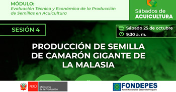  Curso online "Sábados de Acuicultura: Producción de semilla de camarón gigante de la malasia"  del FONDEPES