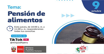 Evento online "Pensión de alimentos" del MINJUSDH