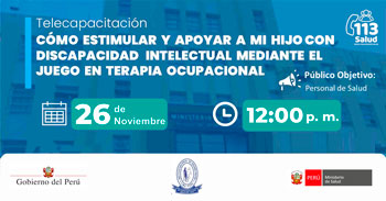  Capacitación Cómo estimular y apoyar a mi hijo con discapacidad intelectual mediante el juego en terapia ocupacional