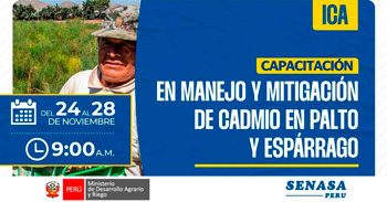  Capacitación presencial gratis "Manejo y mitigación de cadmio en palto y espárrago" de SENASA