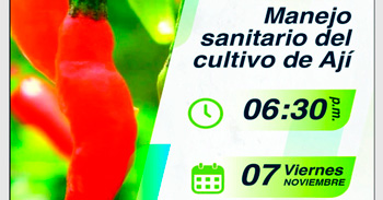  Capacitación presencial "Manejo sanitario del cultivo de ají" de la Municipalidad Distrital de Punta de Bombón