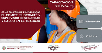  Capacitación online Cómo conformar e implementar el comité, subcomité y supervisor de seguridad y salud en el trabajo