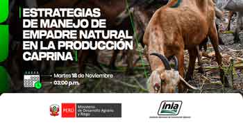  Capacitación online "Estrategias de manejo de empadre natural en la reproducción caprina" del INIA