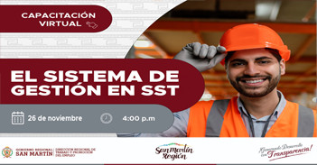  Capacitación online gratis "El sistema de gestión en SST" DRTPE de San Martín