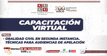  Capacitación online "Oralidad civil en segunda instancia. Técnicas para audiencias de apelación"