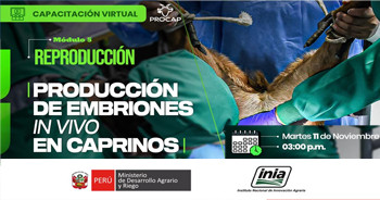  Capacitación online "Producción de embriones in vivo en caprinos" del INIA