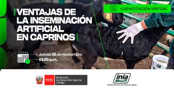  Capacitación online "Ventajas de la Inseminación Artificial en caprinos." del INIA